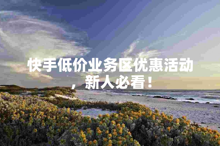 快手低价业务区优惠活动，新人必看！