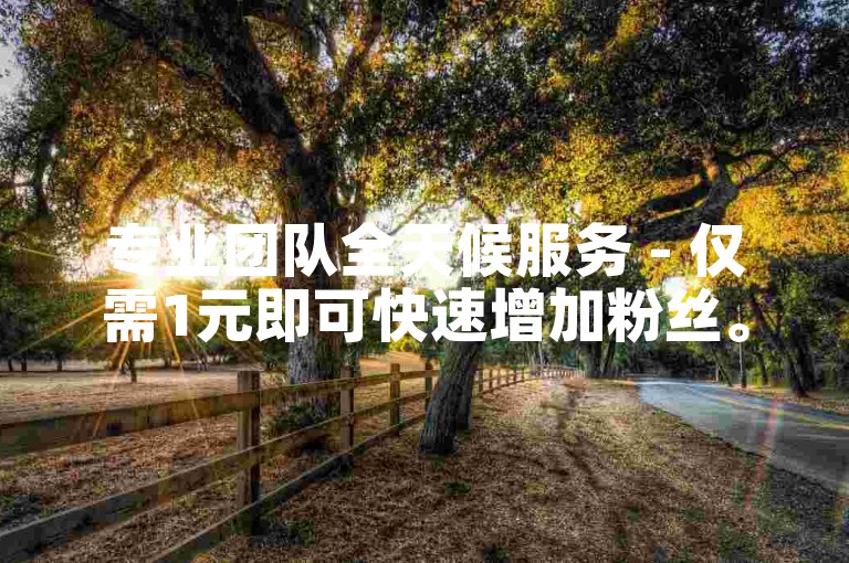 专业团队全天候服务 - 仅需1元即可快速增加粉丝。