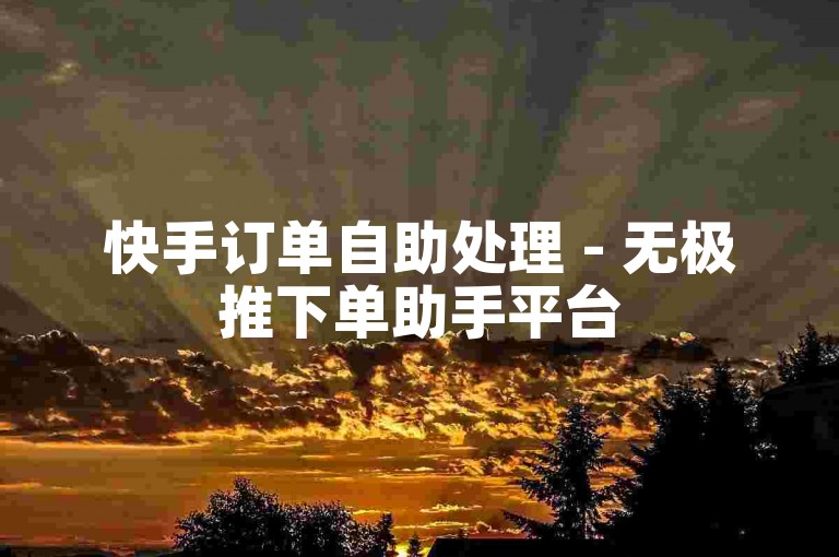 快手订单自助处理 - 无极推下单助手平台