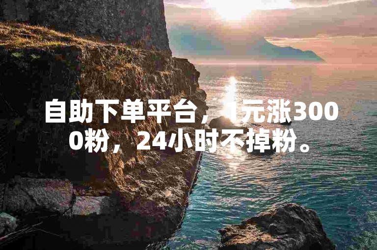 自助下单平台，1元涨3000粉，24小时不掉粉。