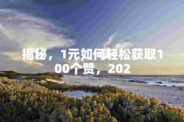 揭秘，1元如何轻松获取100个赞，2025必备技巧！