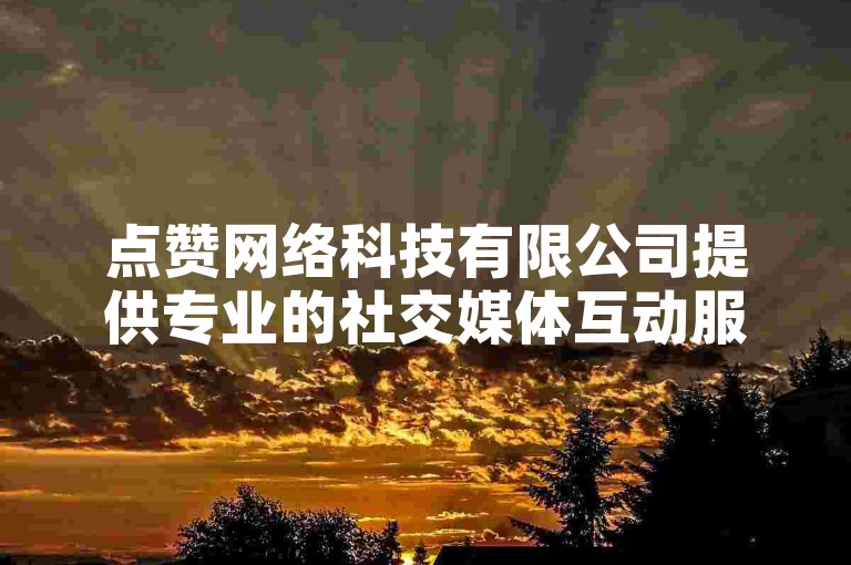 点赞网络科技有限公司提供专业的社交媒体互动服务。