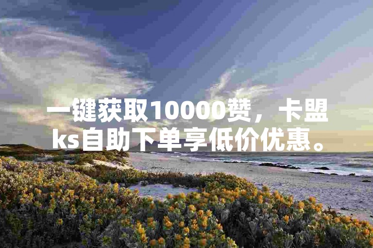 一键获取10000赞，卡盟ks自助下单享低价优惠。
