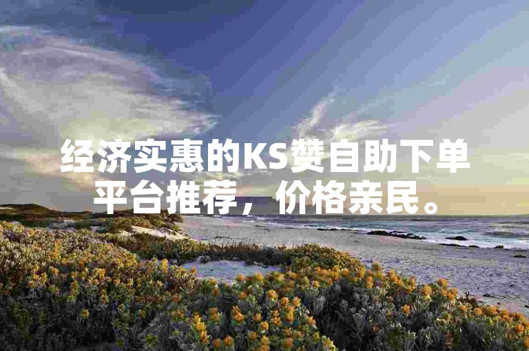 经济实惠的KS赞自助下单平台推荐，价格亲民。