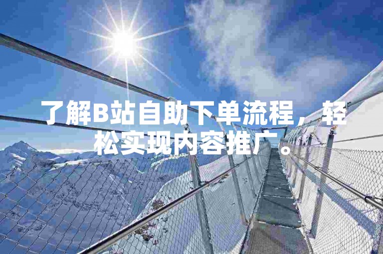 了解B站自助下单流程，轻松实现内容推广。
