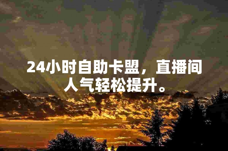 24小时自助卡盟，直播间人气轻松提升。