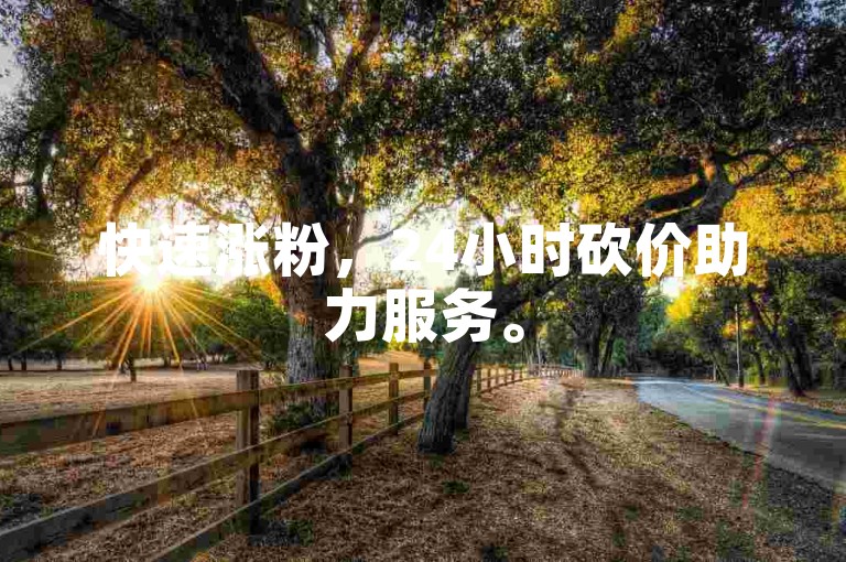 快速涨粉，24小时砍价助力服务。