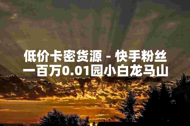 低价卡密货源 - 快手粉丝一百万0.01园小白龙马山肥大地房产装修网站