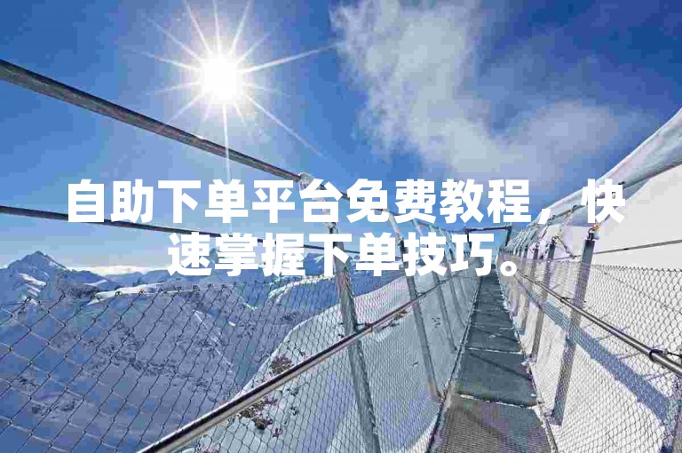 自助下单平台免费教程，快速掌握下单技巧。