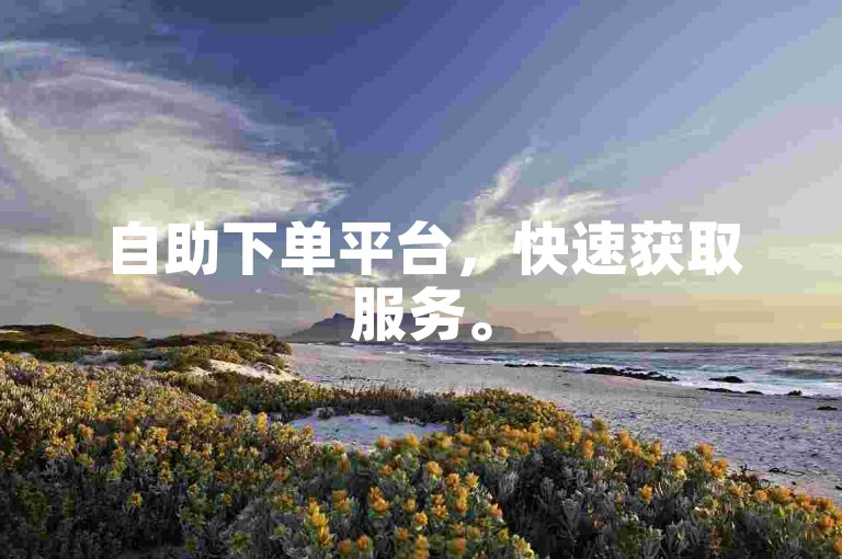自助下单平台，快速获取服务。
