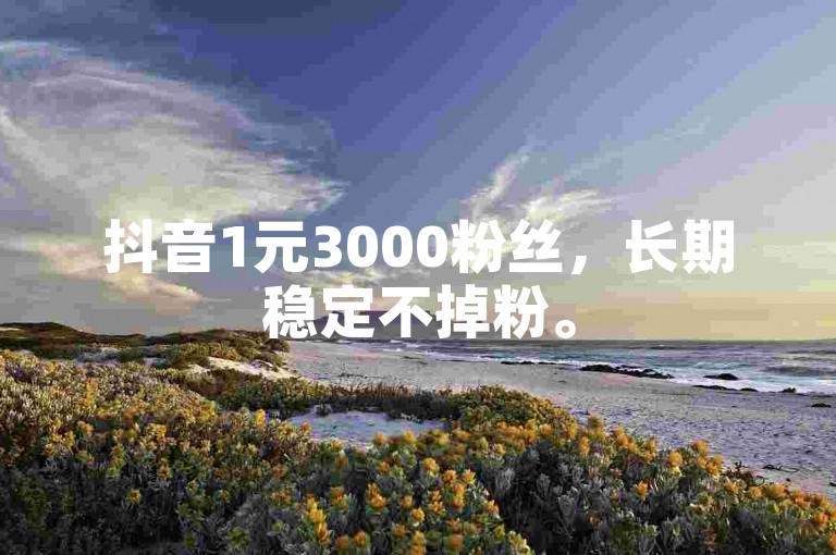 抖音1元3000粉丝，长期稳定不掉粉。