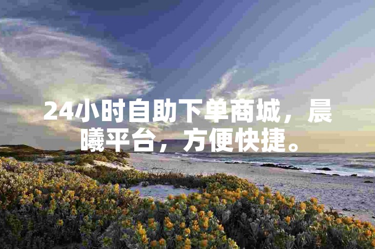 24小时自助下单商城，晨曦平台，方便快捷。