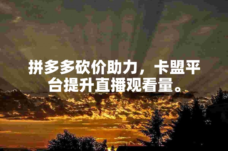 拼多多砍价助力，卡盟平台提升直播观看量。