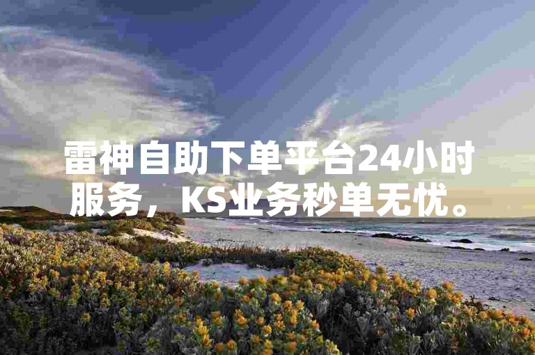 雷神自助下单平台24小时服务，KS业务秒单无忧。