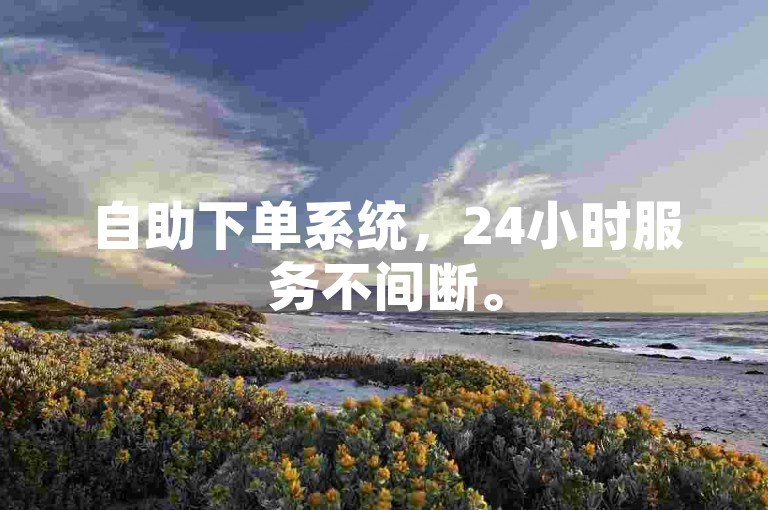 自助下单系统，24小时服务不间断。
