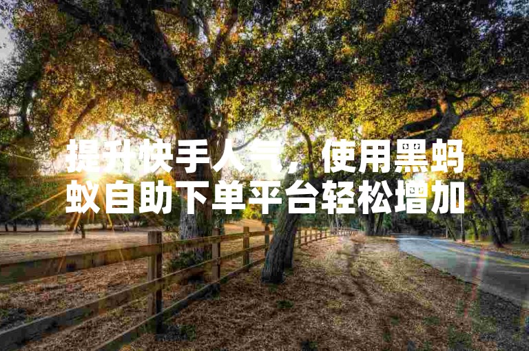 提升快手人气，使用黑蚂蚁自助下单平台轻松增加双击。