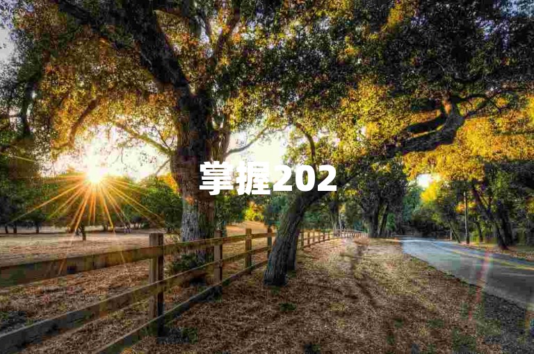 掌握2025必备技能，抖音链接自动优化神器揭秘！
