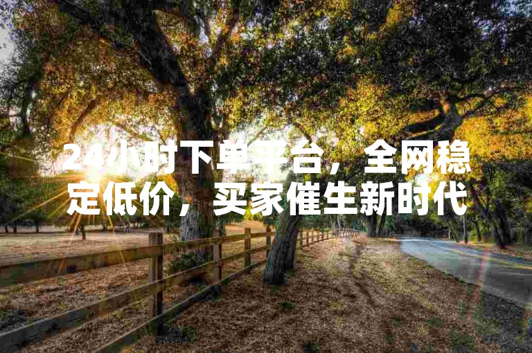 24小时下单平台，全网稳定低价，买家催生新时代的购物便利。