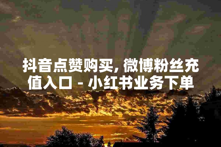 抖音点赞购买, 微博粉丝充值入口 - 小红书业务下单平台 - 淘宝助力网站探索无界