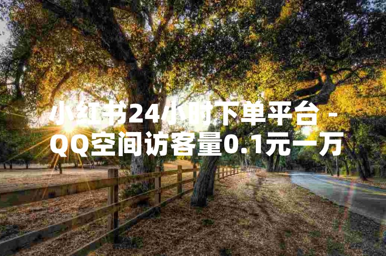 小红书24小时下单平台 - QQ空间访客量0.1元一万