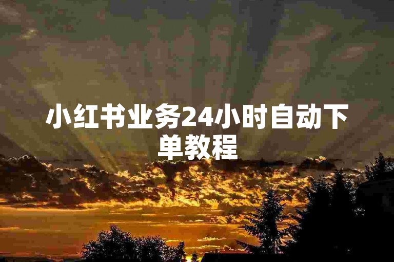 小红书业务24小时自动下单教程