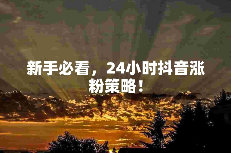 新手必看，24小时抖音涨粉策略！