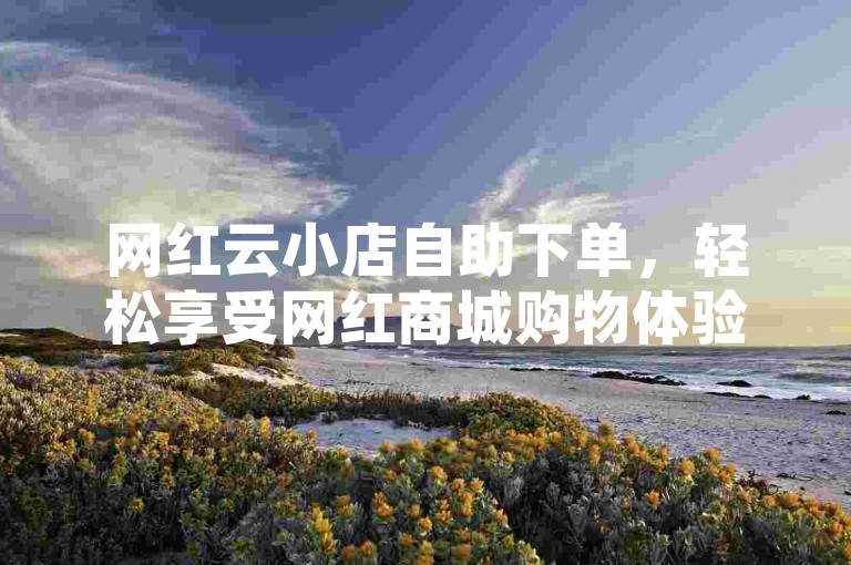 网红云小店自助下单，轻松享受网红商城购物体验。