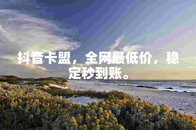 抖音卡盟，全网最低价，稳定秒到账。
