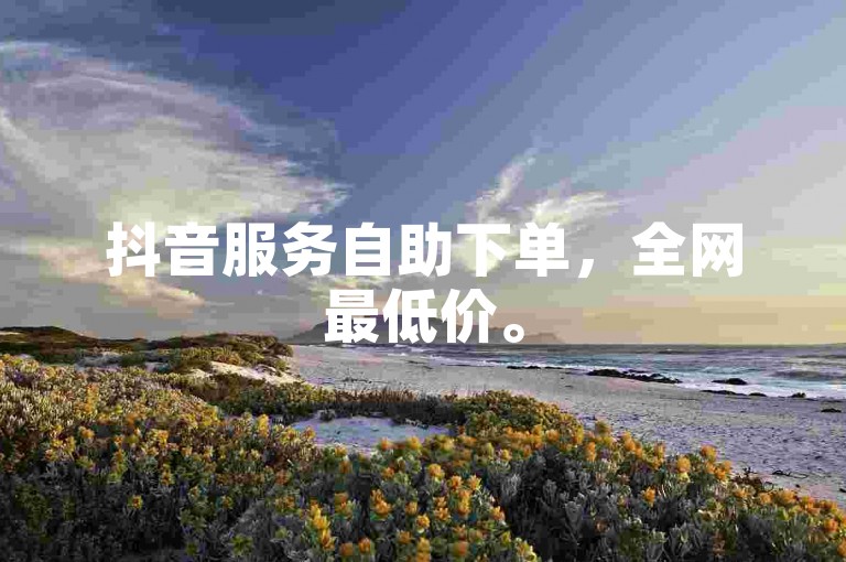 抖音服务自助下单，全网最低价。