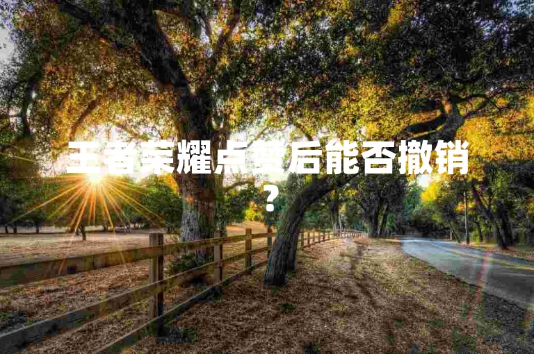 王者荣耀点赞后能否撤销？