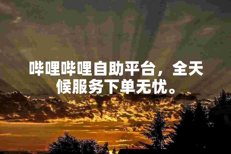 哔哩哔哩自助平台，全天候服务下单无忧。
