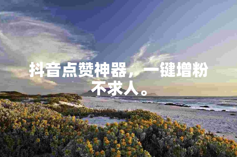抖音点赞神器，一键增粉不求人。