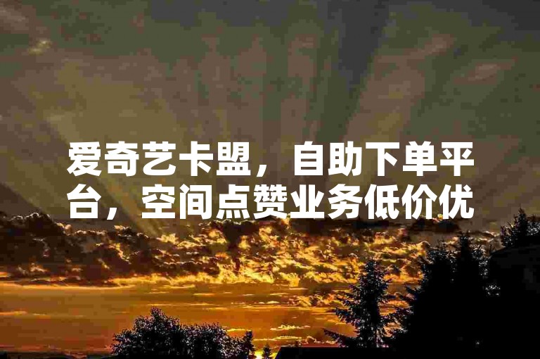 爱奇艺卡盟，自助下单平台，空间点赞业务低价优惠。
