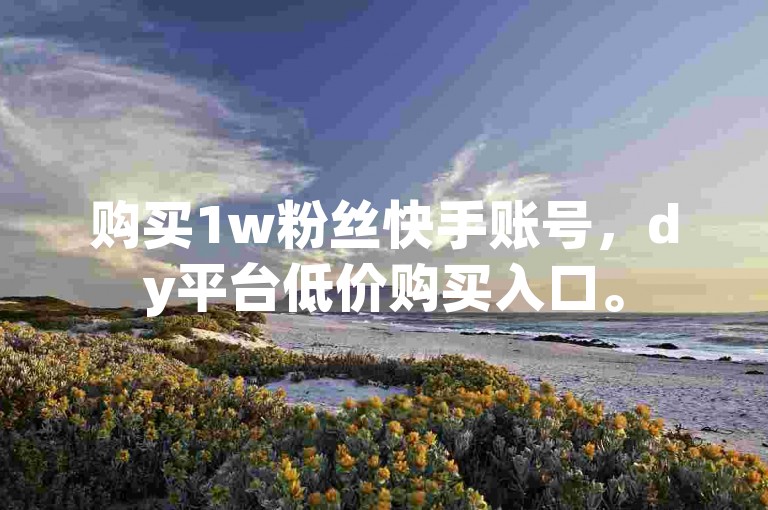 购买1w粉丝快手账号，dy平台低价购买入口。