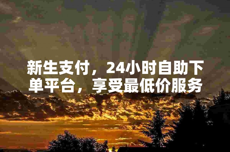 新生支付，24小时自助下单平台，享受最低价服务。