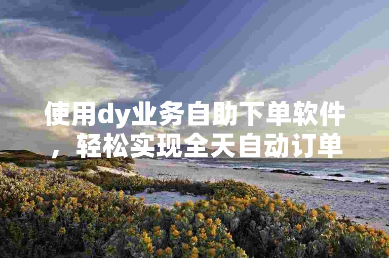 使用dy业务自助下单软件，轻松实现全天自动订单处理。