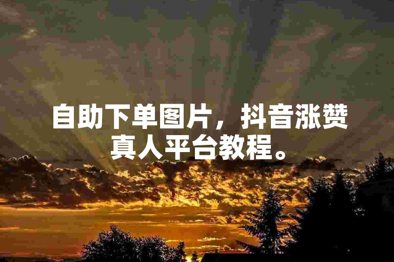 自助下单图片，抖音涨赞真人平台教程。