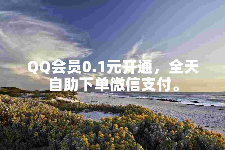 QQ会员0.1元开通，全天自助下单微信支付。