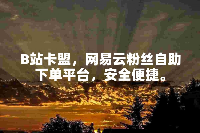 B站卡盟，网易云粉丝自助下单平台，安全便捷。