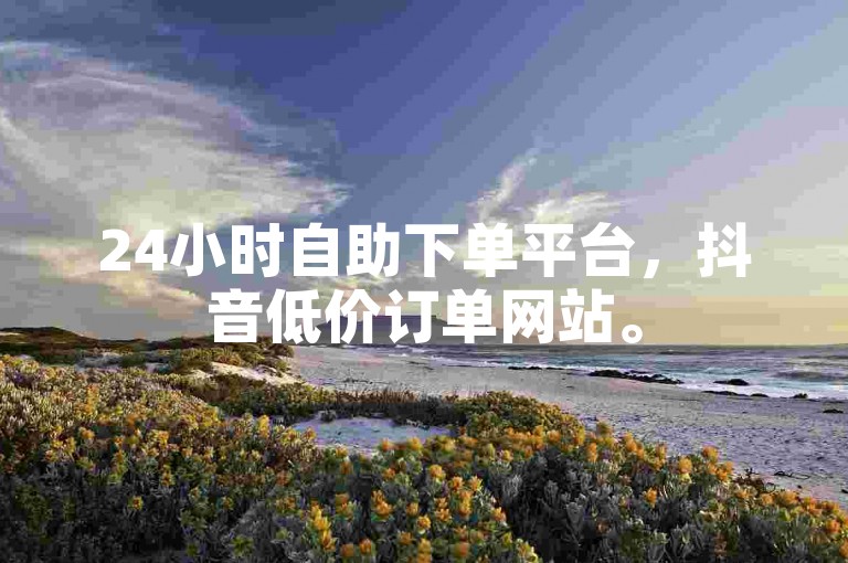 24小时自助下单平台，抖音低价订单网站。