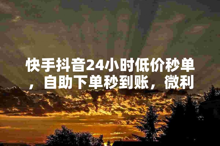 快手抖音24小时低价秒单，自助下单秒到账，微利也疯狂！