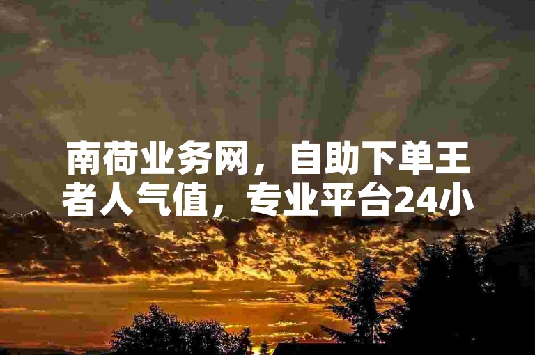 南荷业务网，自助下单王者人气值，专业平台24小时服务。