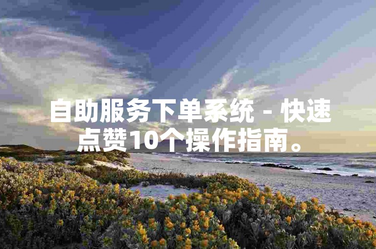 自助服务下单系统 - 快速点赞10个操作指南。