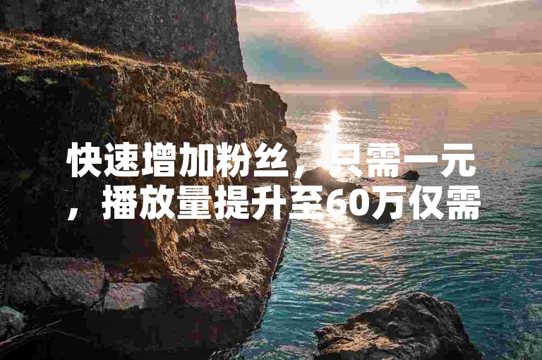 快速增加粉丝，只需一元，播放量提升至60万仅需8元。