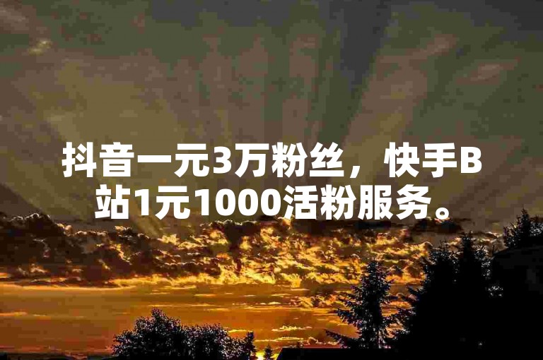 抖音一元3万粉丝，快手B站1元1000活粉服务。