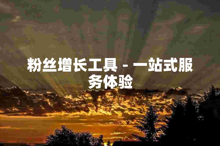 粉丝增长工具 - 一站式服务体验