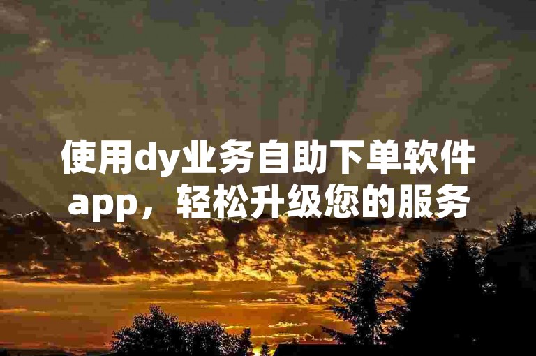 使用dy业务自助下单软件app，轻松升级您的服务。