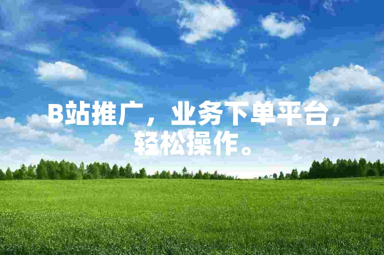 B站推广，业务下单平台，轻松操作。