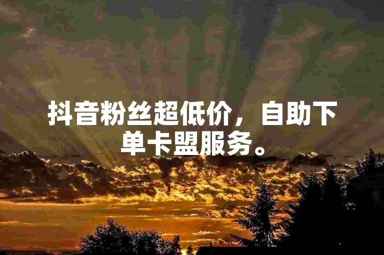 抖音粉丝超低价，自助下单卡盟服务。