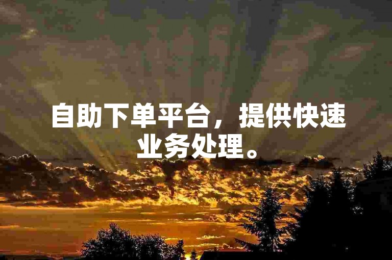 自助下单平台，提供快速业务处理。